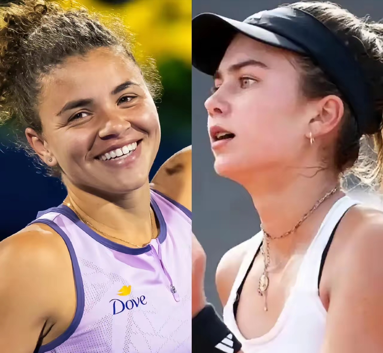 对鲨鱼展开 对鲨鱼展开