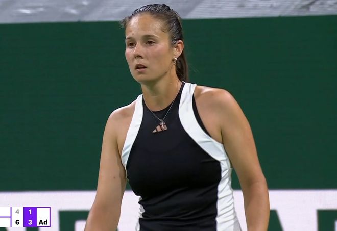 球迷和媒体 球迷和媒体