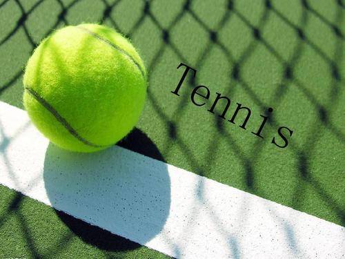 他的案例表 他的案例表