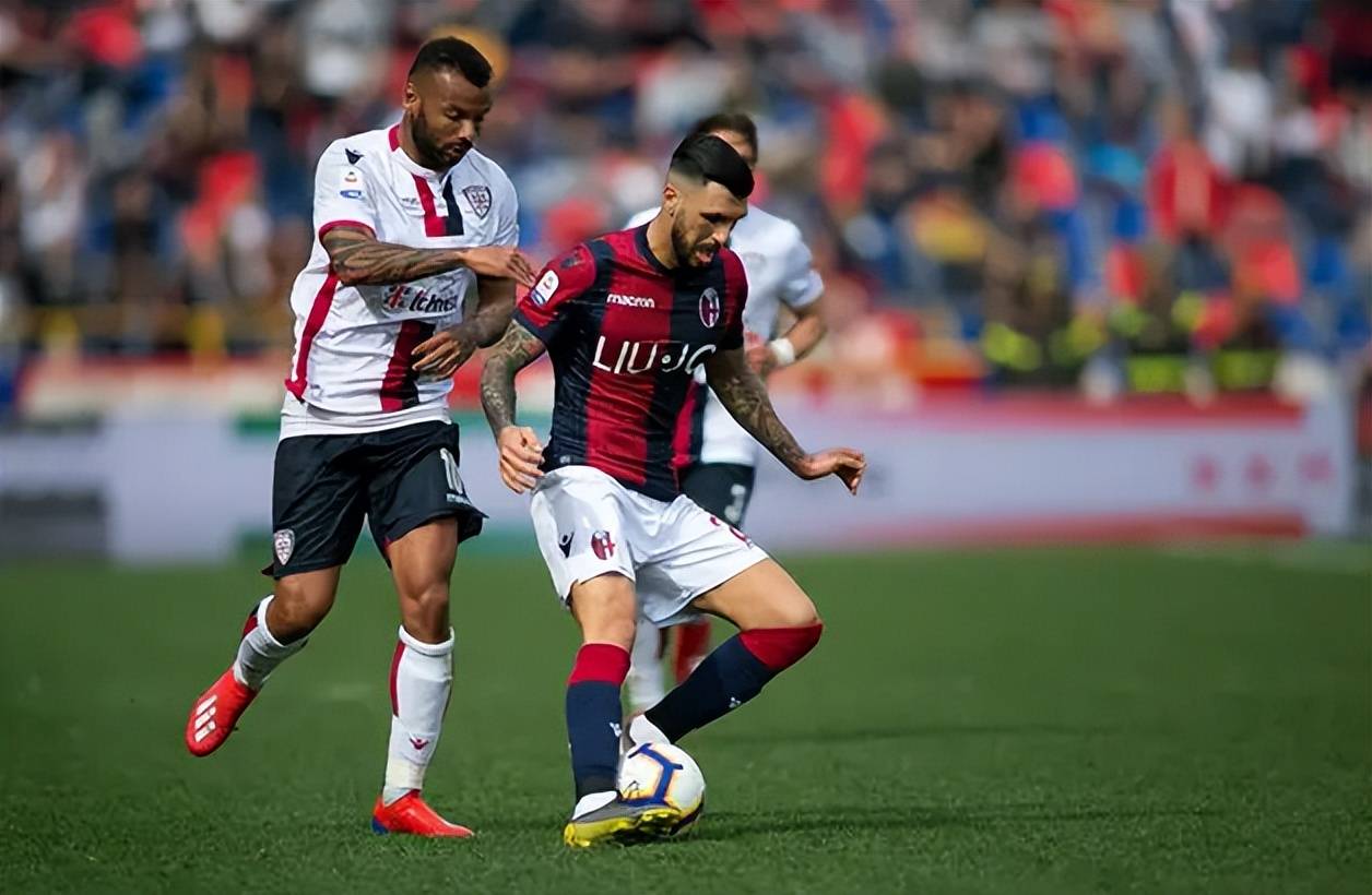 放大总营收 放大总营收