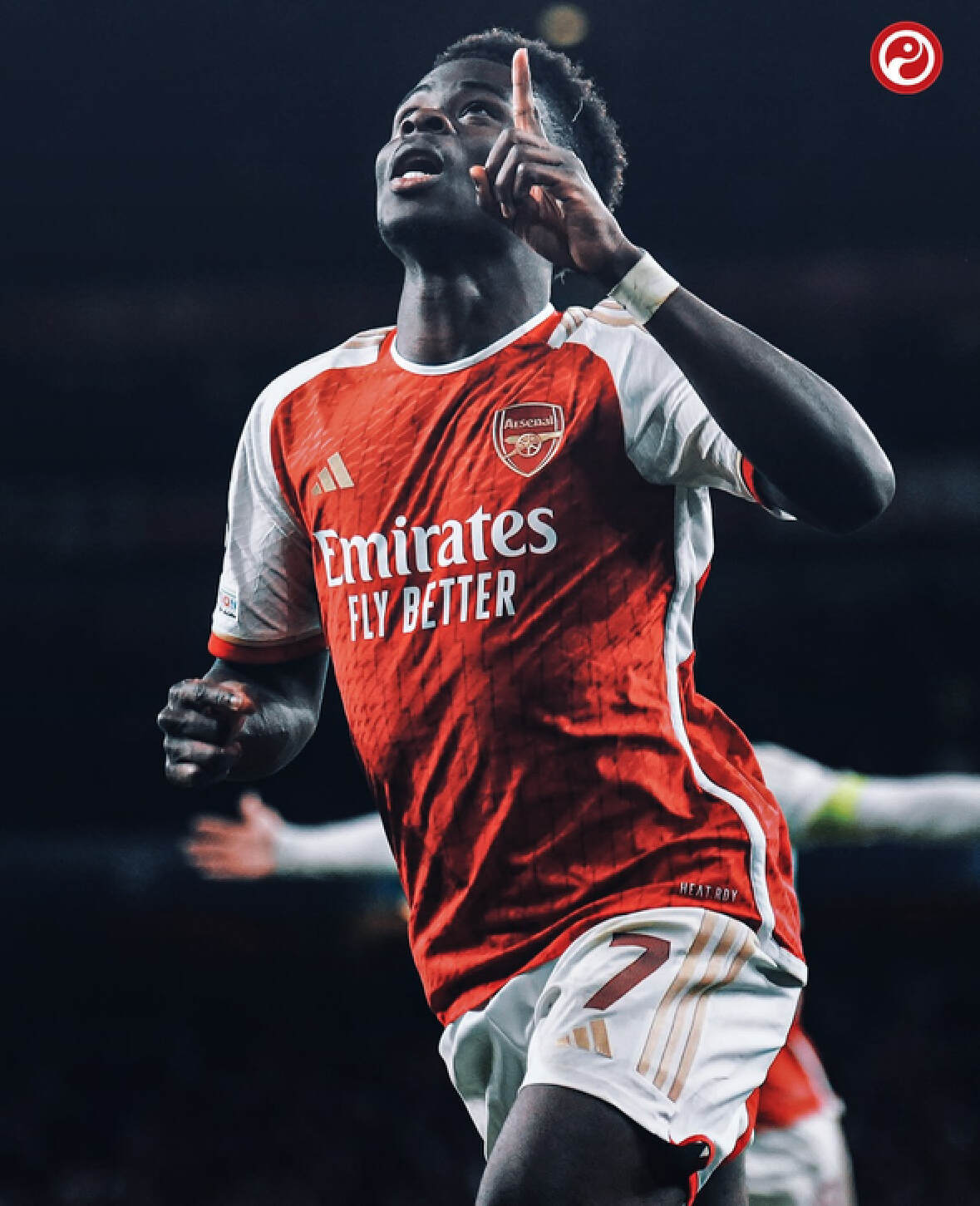 极为成熟 极为成熟